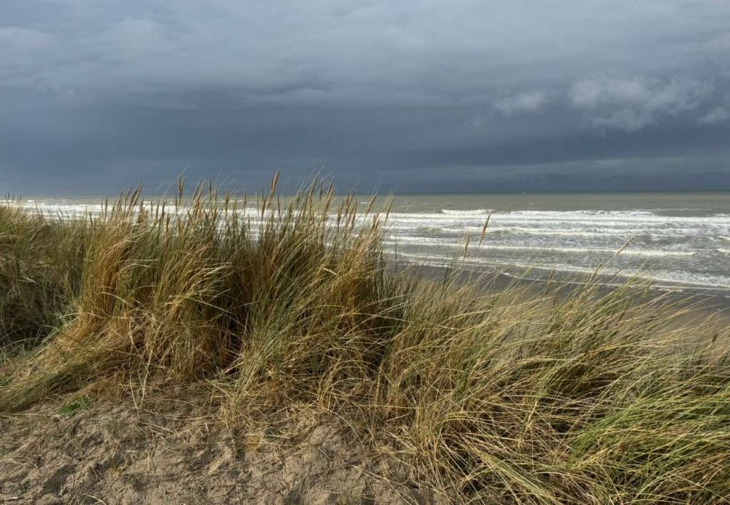 Meer bei schlechtem Wetter, Dünengras im Vordergrund