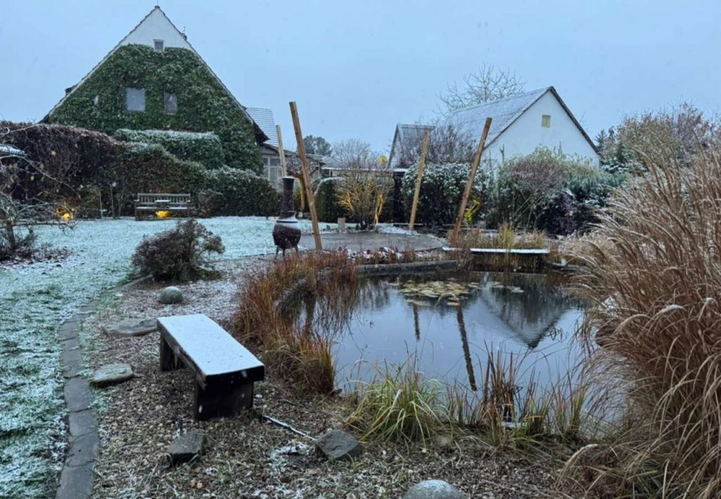 Blick in den Garten mit leichter Schneedecke
