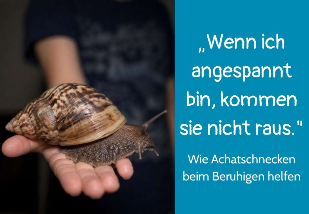 Achatschnecke auf einer Hand, Text: "Wenn ich angespannt bin, kommen sie nicht raus." Wie Achatschnecken beim Beruhigen helfen.