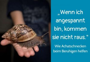 Achatschnecke auf einer Hand, Text: "Wenn ich angespannt bin, kommen sie nicht raus." Wie Achatschnecken beim Beruhigen helfen.