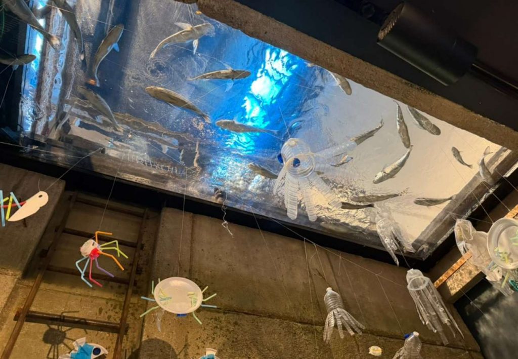 Plastikinstallation unter einem Becken mit Fischen
